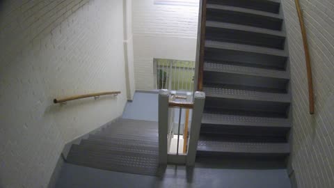 3883FHOB03Stair7_2021-01-06_05h57min55s557ms.mp4