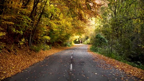 Relaxing music video and landscape beautiful