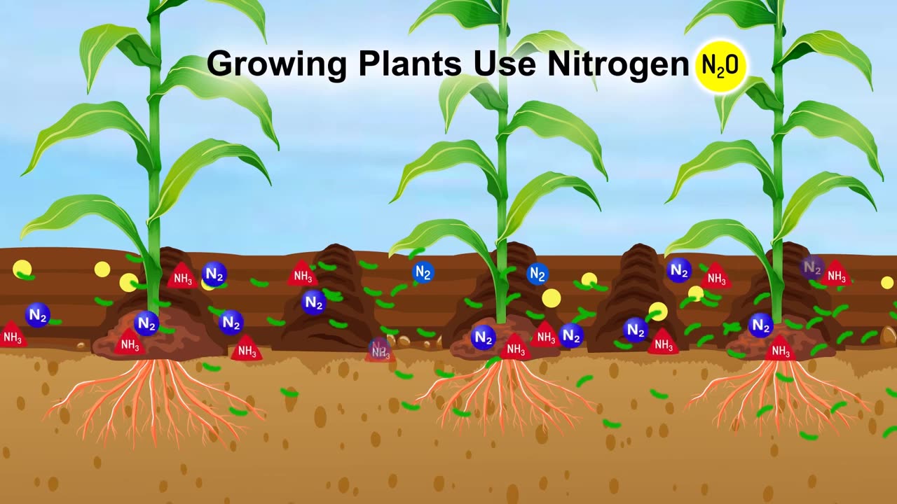 Custom Bio 2D animation