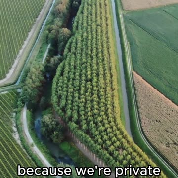 Everything is Backwards