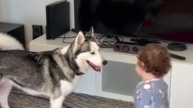 cute baby playing with cute dog