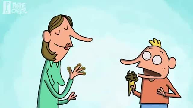 funny videos