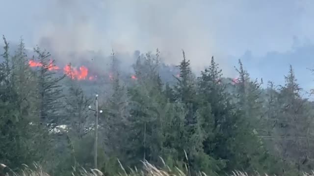 Zjarr në Radhimë, era e furishme përhap flakët me shpejtësi