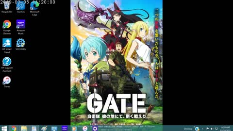 Gate Review