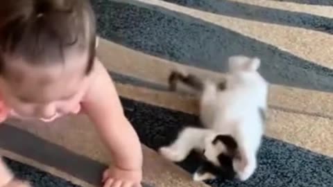 Child playing with cat