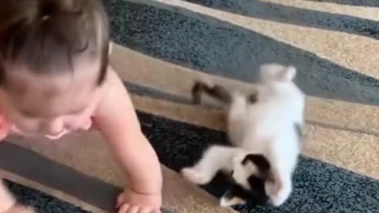 Child playing with cat