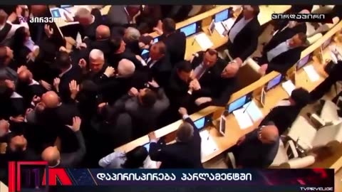 Politicians Brawling in Georgian Parliament