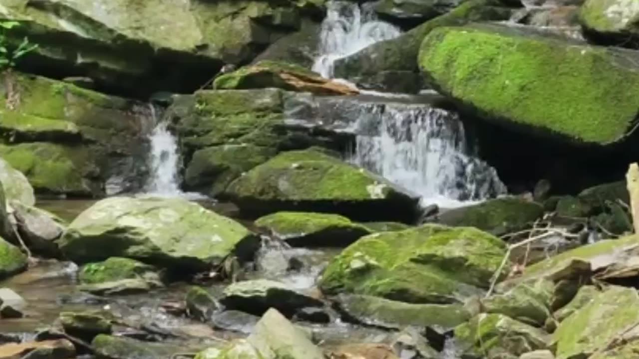 Waterfall | beautiful weather Music | birds sounds | relaxing Music | Sleep music | deep relaxing