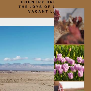 Building Blocks for Your Dream Home: Land Lot for Sale