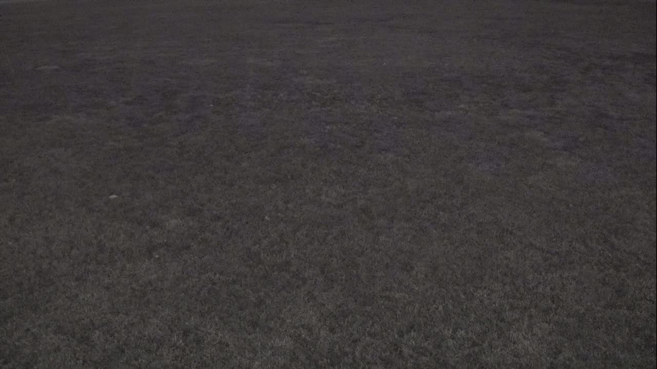 7231USCG00EastFrontHouseEgg_2021-01-05_17h59min20s027ms.mp4