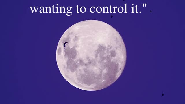 "Our anxiety does not come from thinking about the future, but from wanting to control it."