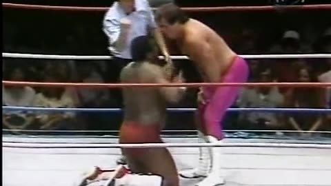 Brutus beefcake vs. SD jones