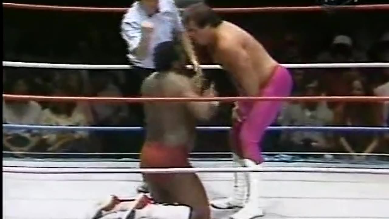 Brutus beefcake vs. SD jones