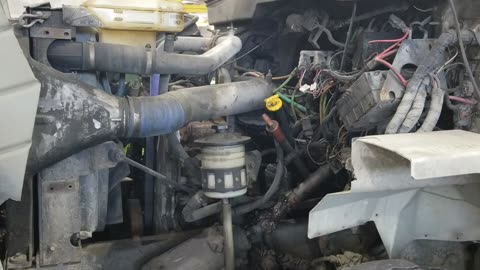 #1230 International DT530 Diesel Engine RTO