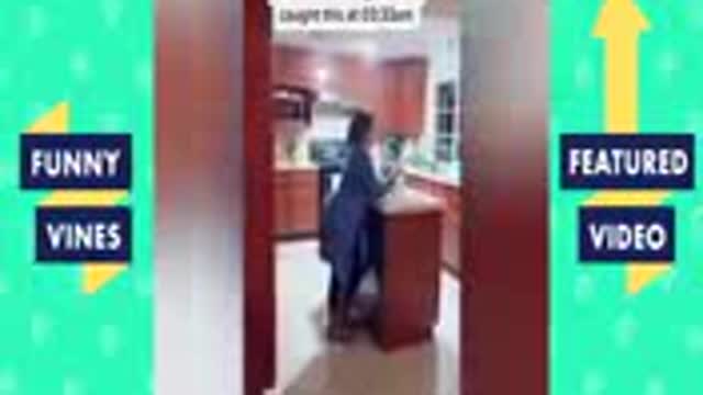 Best Funniest videos