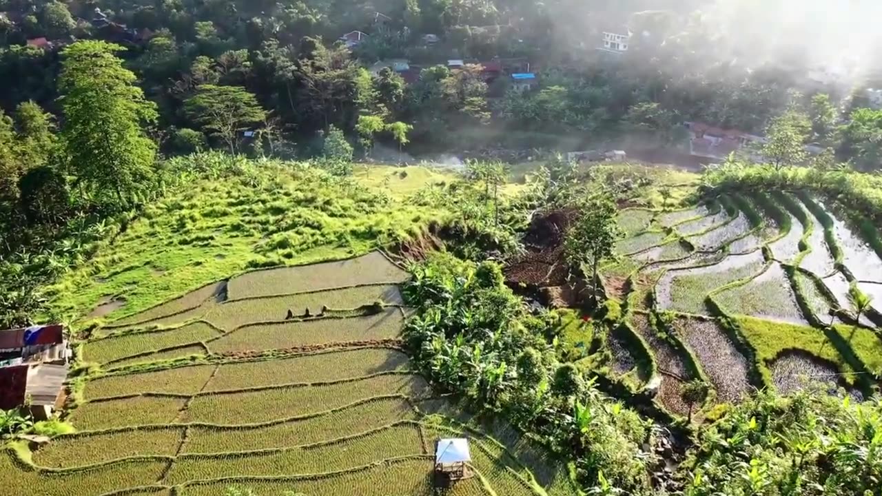 Philippines 4k Stock Video | Travel Video | Nature