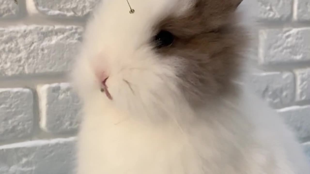 Cute