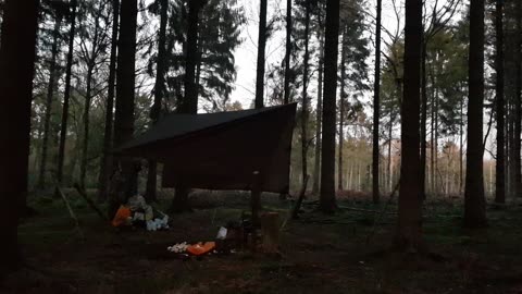 Taking down the DD hammocks 4x4 tarp 22nd Jan 2023