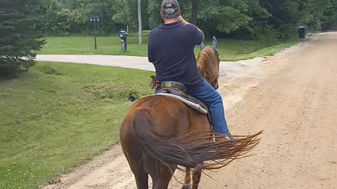 Trail ride