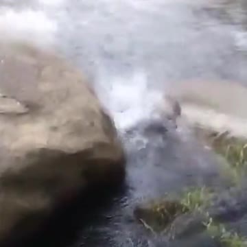 bad shot but cooled off