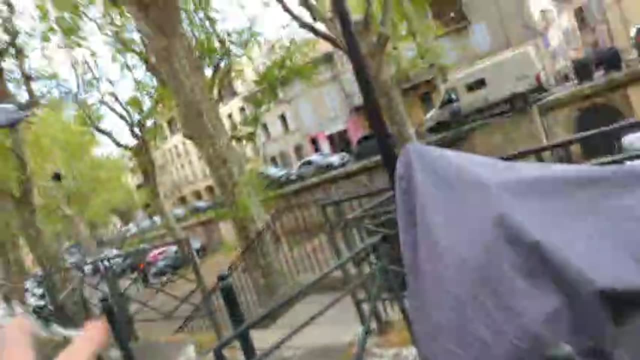 2023-04-18 (8) - Il poursuit une vieille avec un pigeon - Twitch Decheterie (extrait)