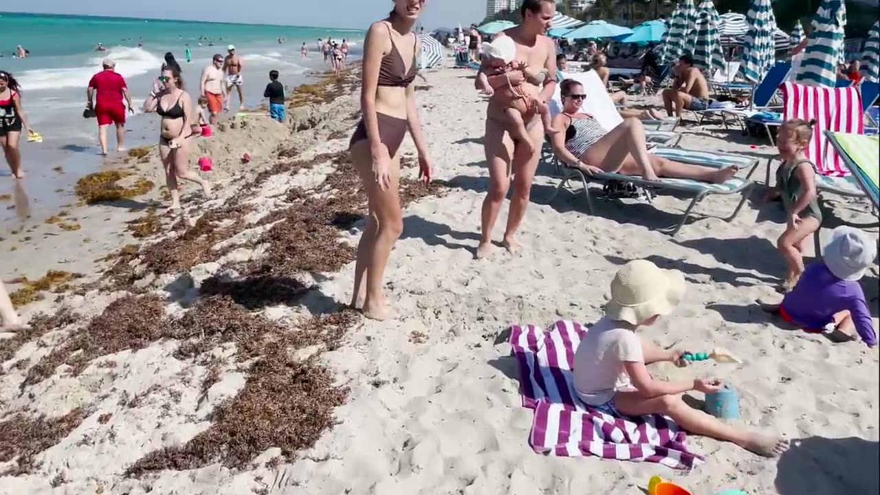 Hot Video On Miami Beach