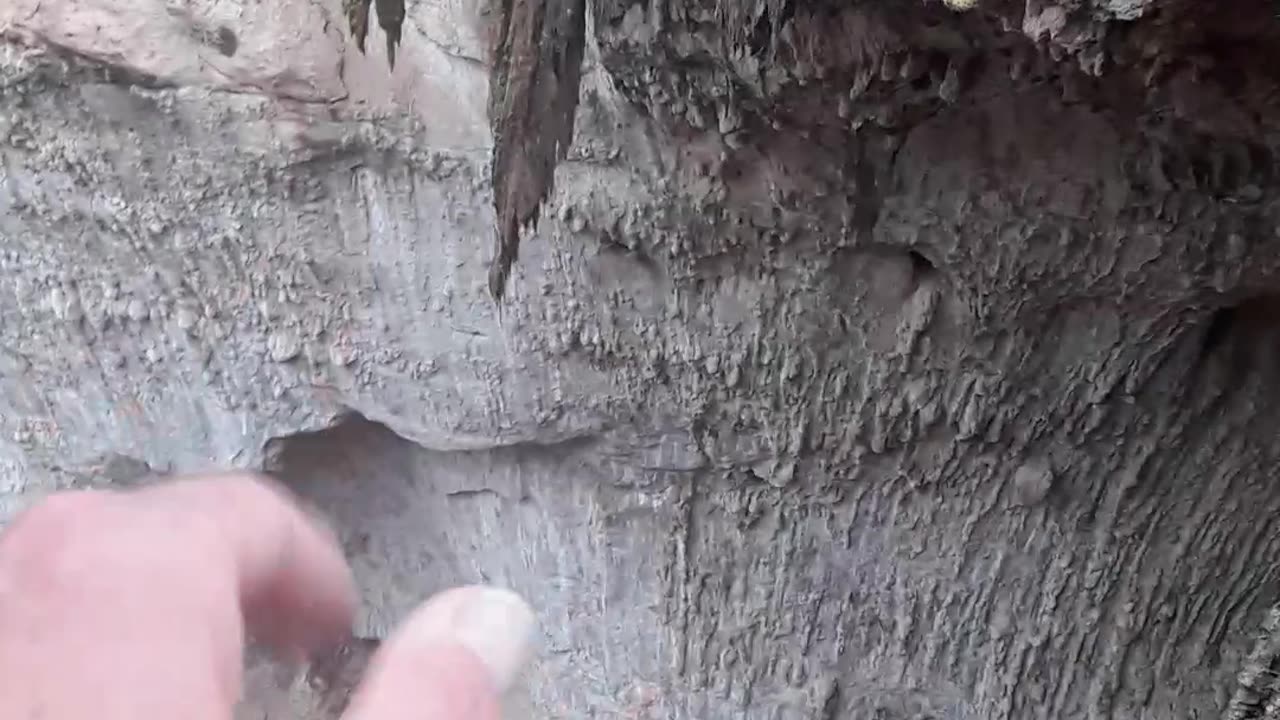 This Natural Bridge in Arizona shows us God's judgement in the Flood.2/14/23