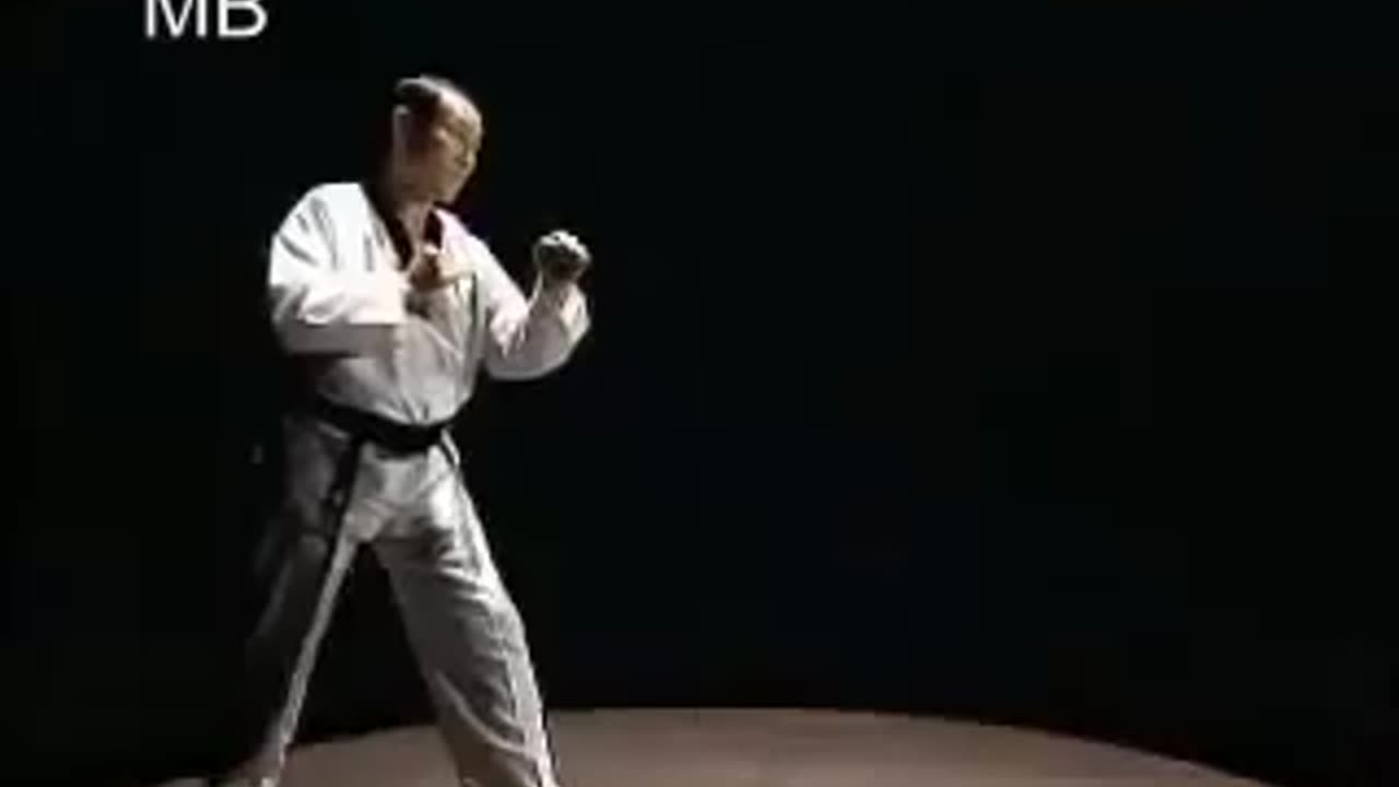 Taekwondo