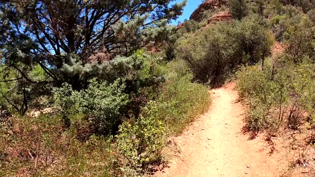 Cathedral Rock Trails