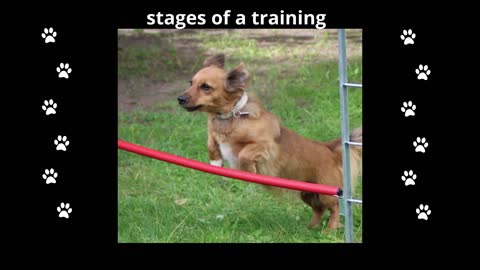 #stages of a training#