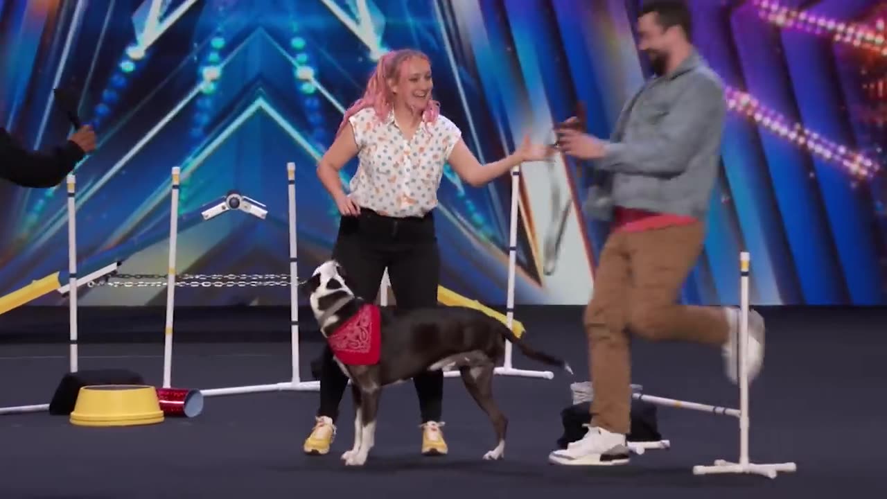 Early Release: Heather and Bogart _ Three-legged dog shows unbreakable spirit _ Auditions _ AGT 2023