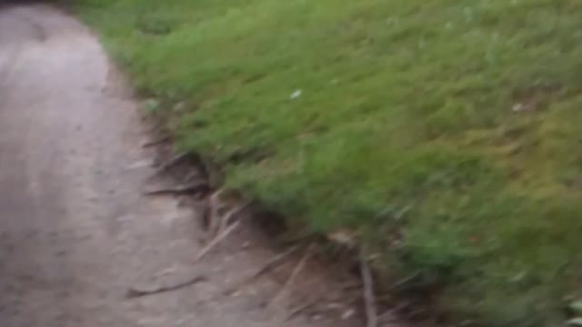 Usually what my day consists of