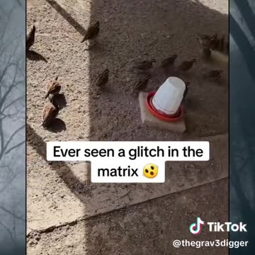 GLITCHES IN THE MATRIX - NCSWIC