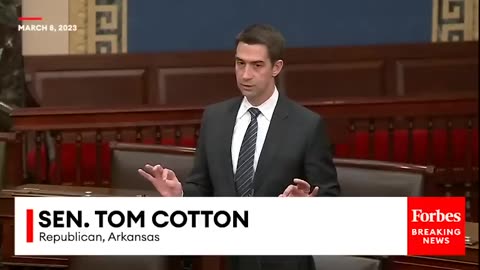 'Those Are The President's Words'- Tom Cotton Quotes Biden In Speech Blasting Democrats' Crime Law