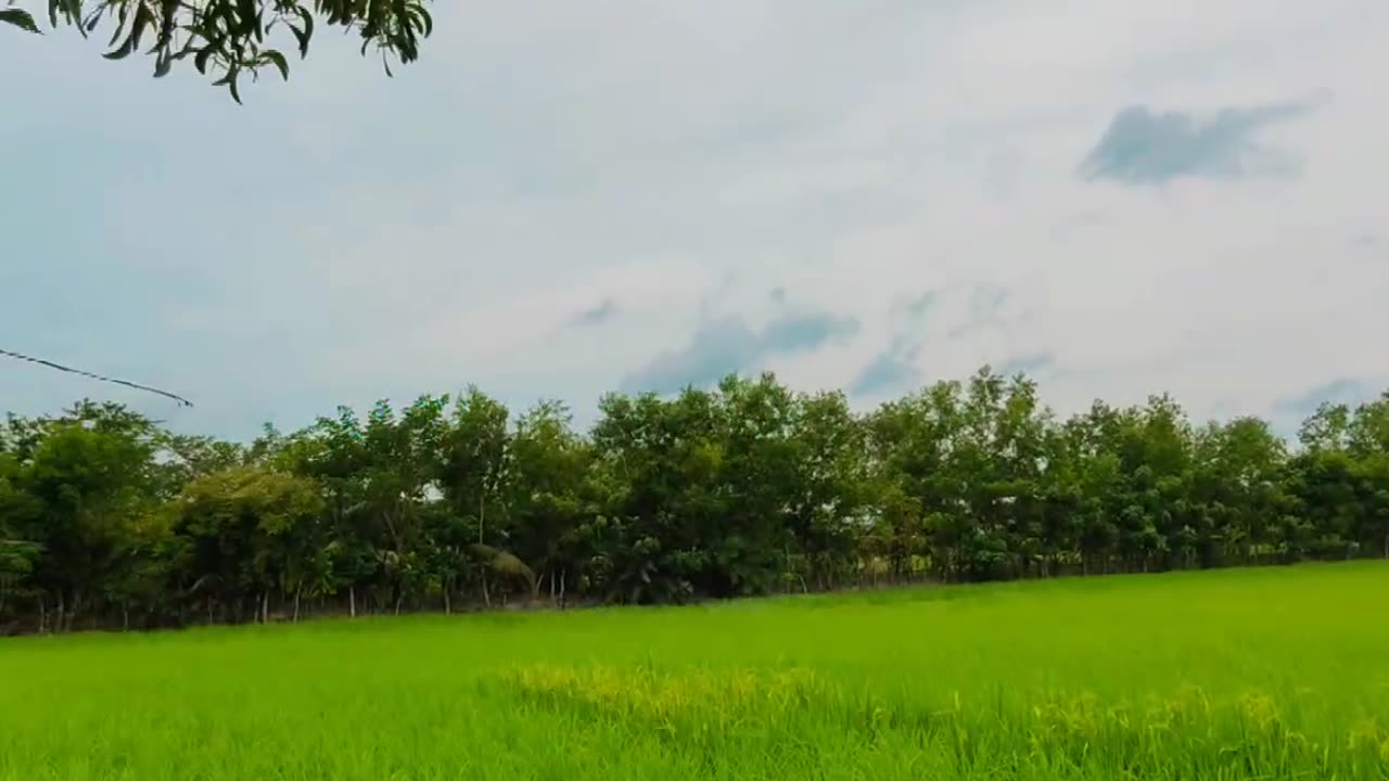 Natural Videography In Bangladesh