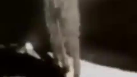 Houston we have a problem