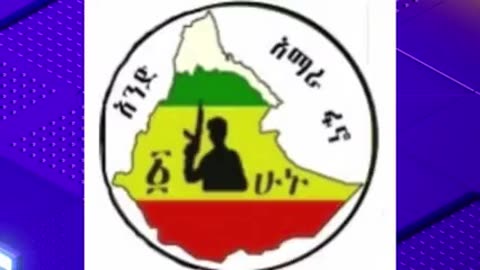 ከአንድ አማራ ፋኖ የተሠጠ ወቅታዊ መግለጫ