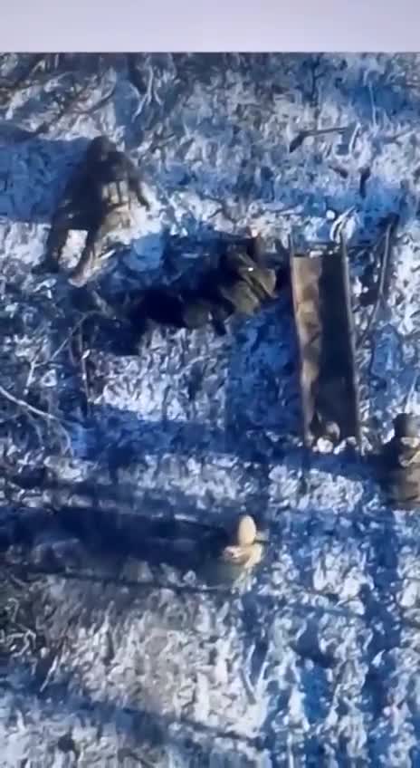 Drone Footage of Unlucky Orcs