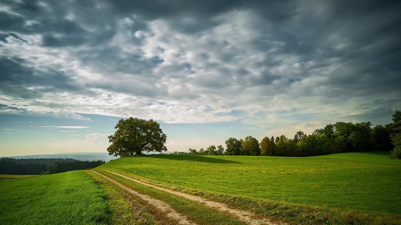 Tree Clouds & Greenry | Free stock footage