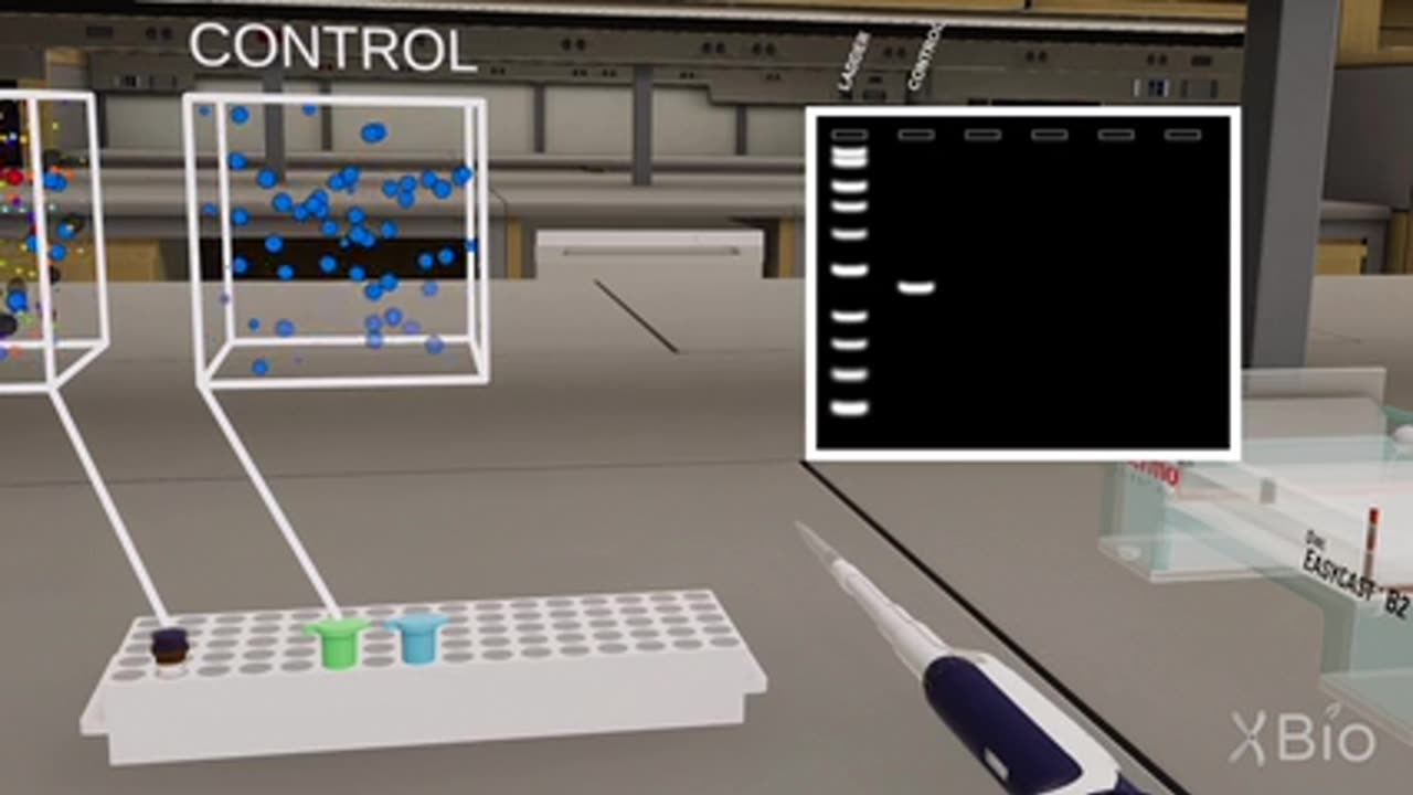 DNA FINGER PRINTING