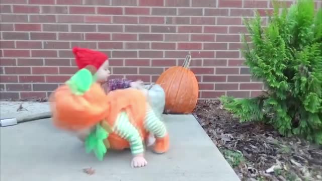 babies having fun on halloween