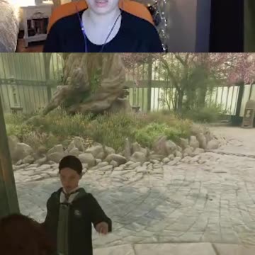 She's Not Okay #hogwartslegacy #hogwartslegacygameplay #wizardingworld #videogames #harrypotter