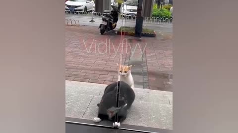 Open the damn door