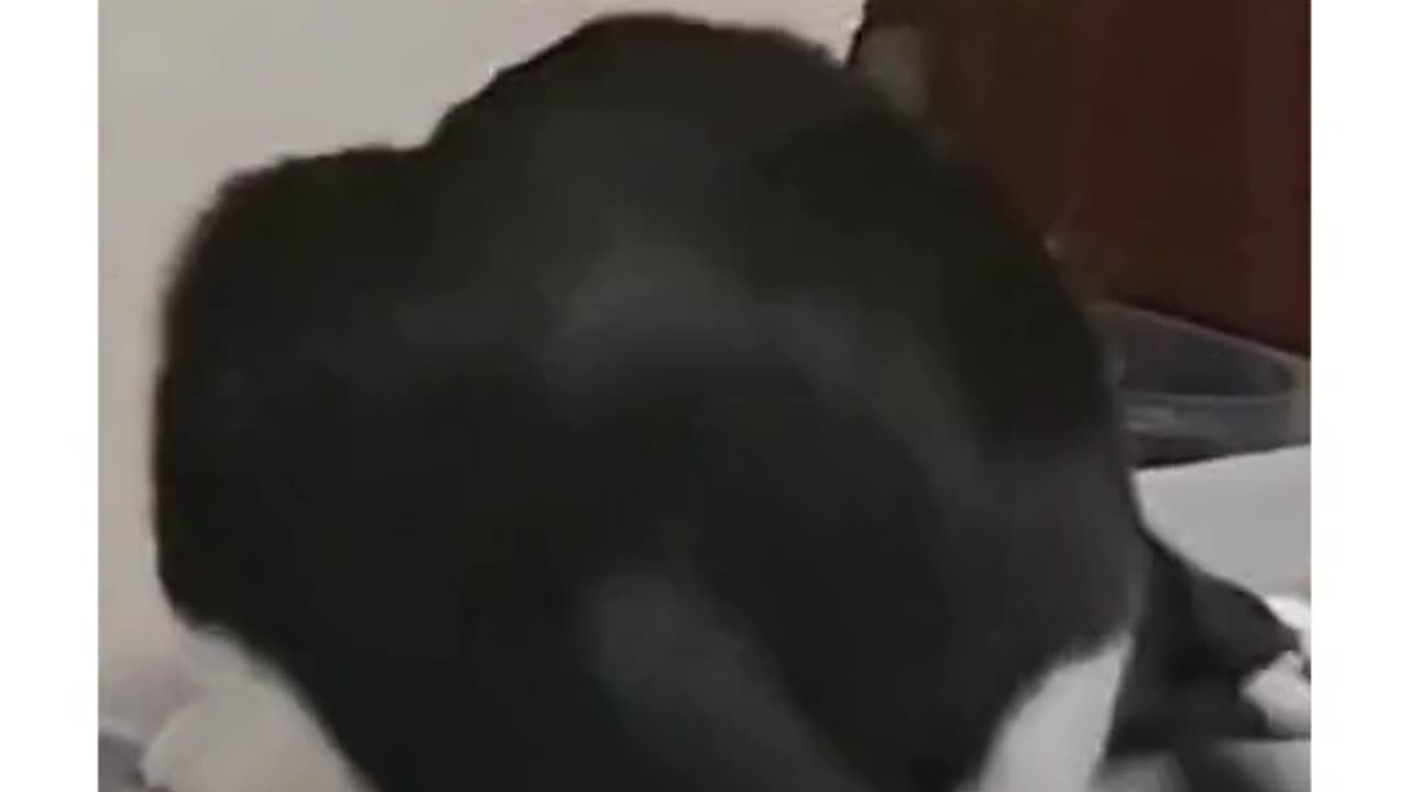 Bro was possesed 🤣