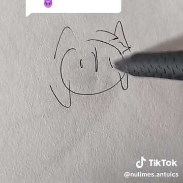 PA TikTok #18