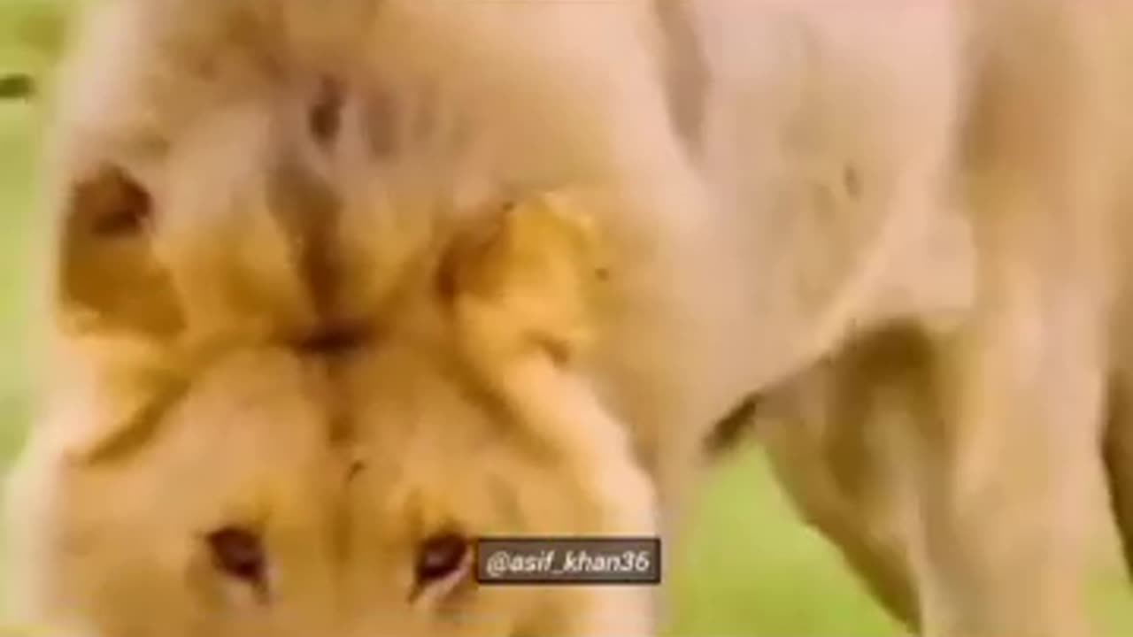 Intelligent man