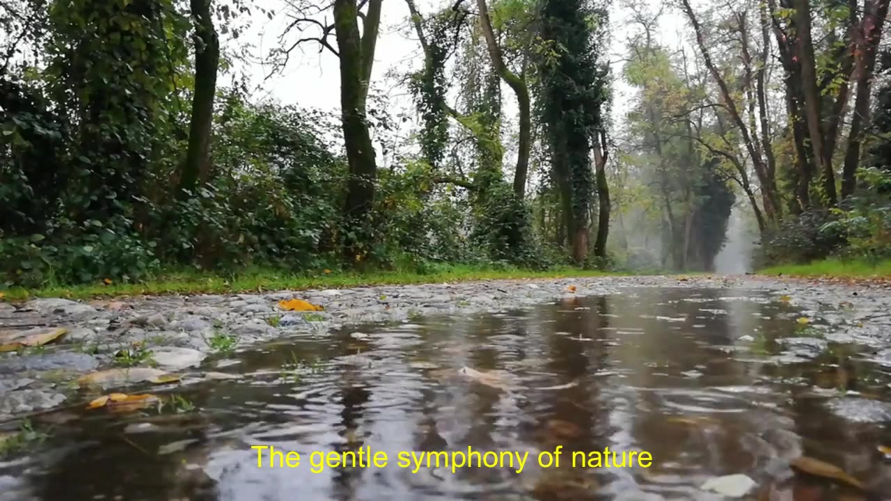 Waterfall & Rain Sounds in a Peaceful Forest 🌊🏞️ Nature sounds for sleep, healing, study,relaxations