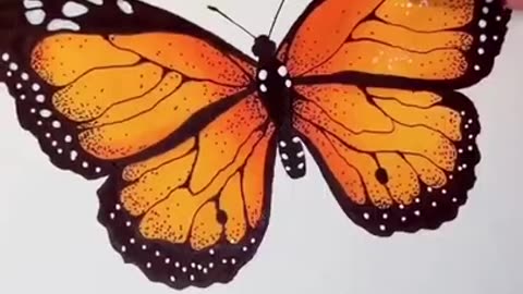 Butterfly drawing painting Natural Artist 2023