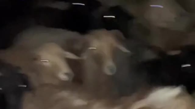 Mass release