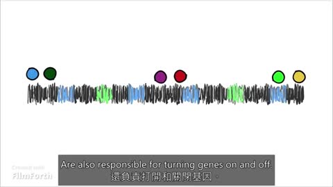表观遗传变化是哺乳类动物衰老的主要驱动因素